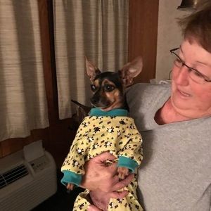 Meet your Posher, Annette